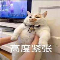 驾考究竟有多难？网友：看看我的补考费就知道了！