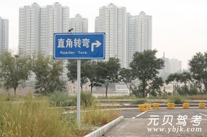 科目二考试中应该注意什么【金达课堂】