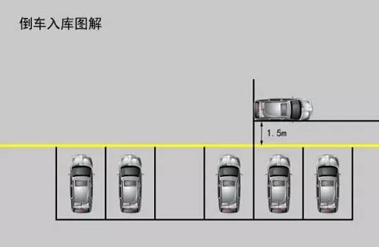 科目二：倒车入库和侧方停车实战操作技巧,统统交给你