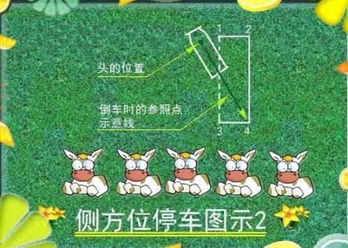 B2侧方位停车步骤图文解析