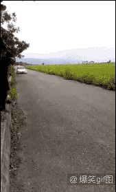 学会这些