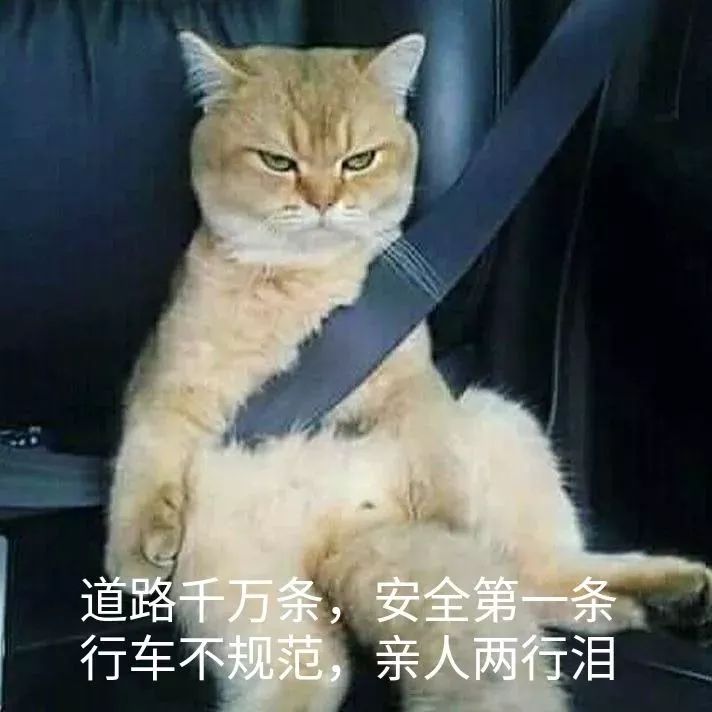 乘大巴车未系安全带将不允许出站