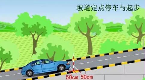 除了二分之一还有什么点
