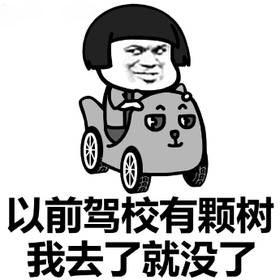教练表示
