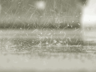 雨雨雨雨
