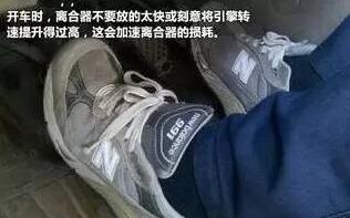 能不能拿驾照关键就看这几个字
