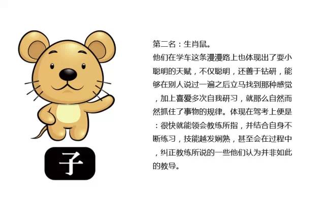 十二生肖考驾照。你是属什么的