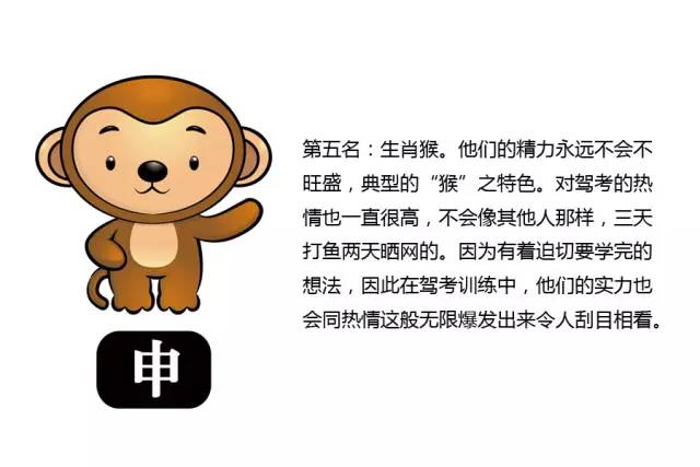 十二生肖考驾照。你是属什么的