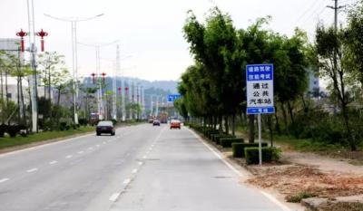 科三路考最易扣分点汇总