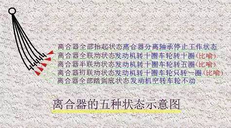 科目三路考
