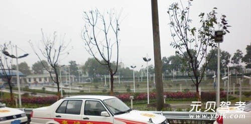 学习自动档