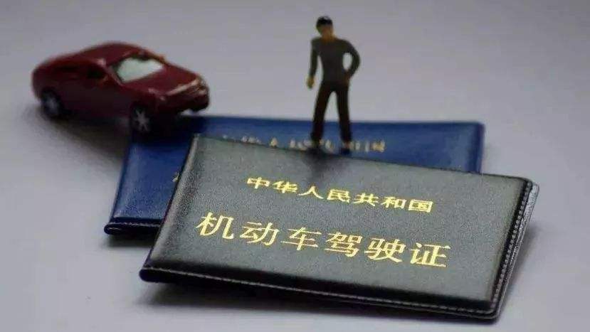 到手的驾驶证