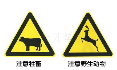 科目一小测试