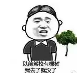 2019年驾考大数据丨挂科人走过的路