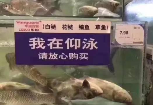 早上教练叫我去练车