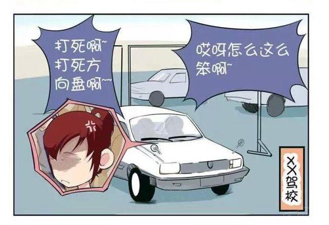 考过了科二
