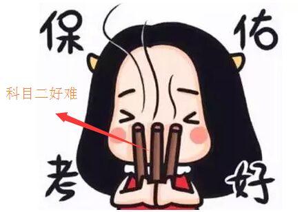 学车考试总担忧