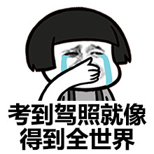 聊聊学车的那些事