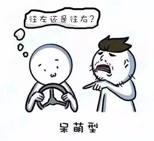 考驾照练车有五类人