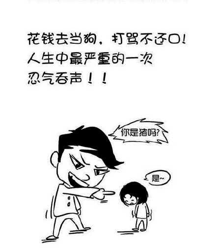 考驾照是一种怎样的体验?