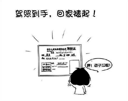 考驾照是一种怎样的体验?