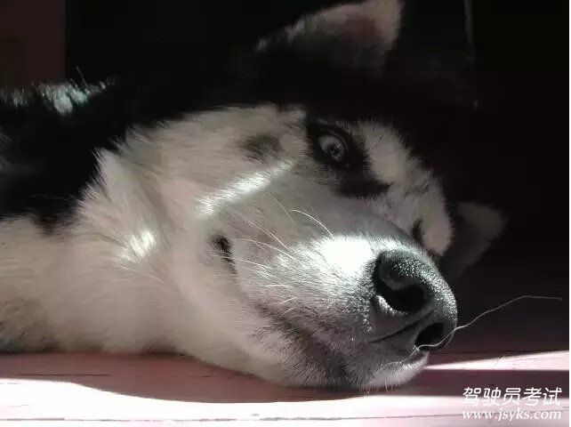 夏天学车防晒高招