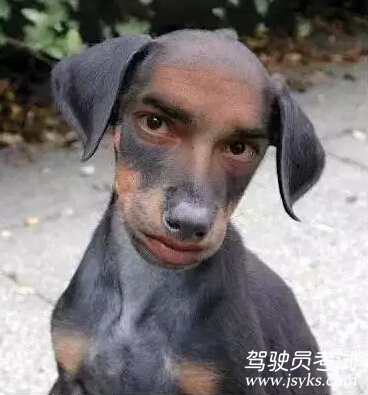 夏天学车防晒高招