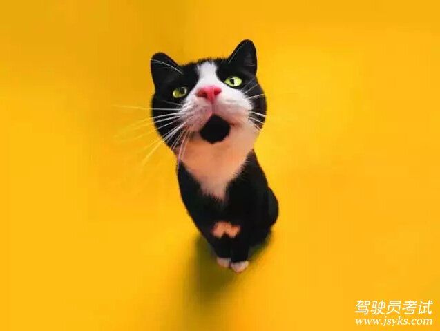 夏天学车防晒高招