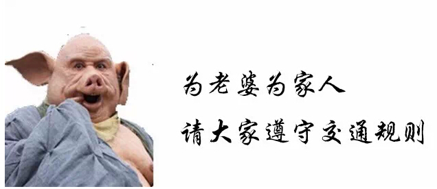 10句话送给在学或想学车的人