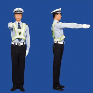 一图一解析