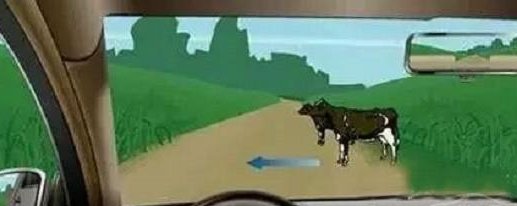 惊呆了