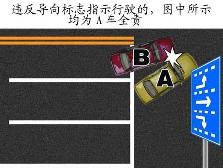 违反导向标志指示行驶的