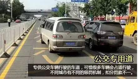 这些常见的路面标志