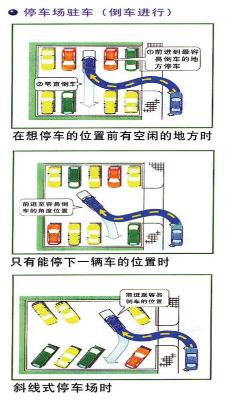 初级驾驶学堂――图解如何安全停车