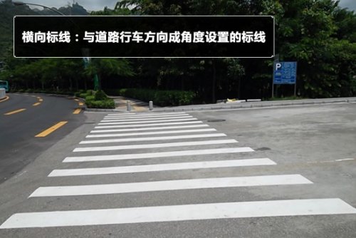 教你认道路交通标志线（图解）