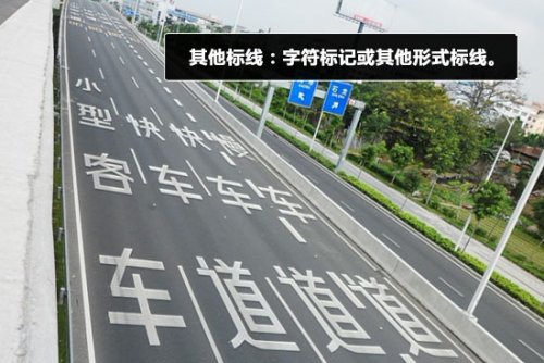 教你认道路交通标志线（图解）