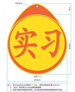 实习驾驶员