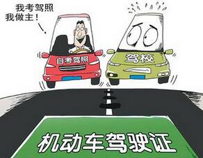 自学直考需要注意什么细节