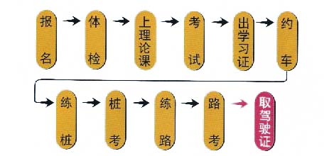 驾照考试报名流程