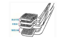 如何快速找到汽车半联动