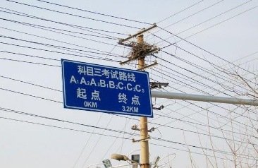 驾考科目三考试细节有哪些