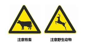 科目一交通标志记忆口诀