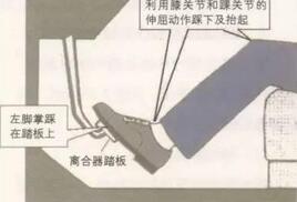 科目二常见错误集锦
