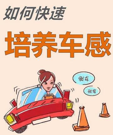 如何快速培养车感