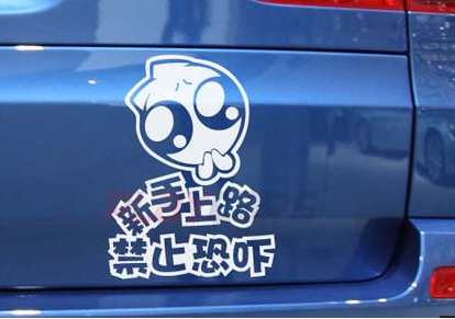新手如何快速学好车