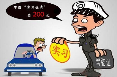 驾照实习期内注意事项