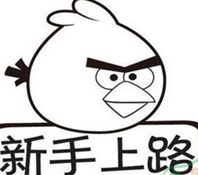 新手上路要注意哪些
