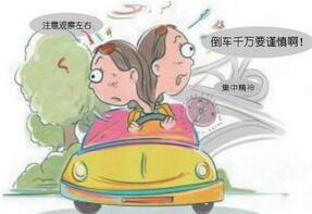 新手上路技巧解析