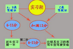新手实习期需要注意什么