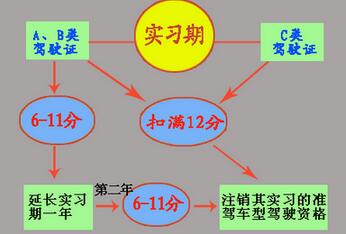 驾照实习期需要注意什么